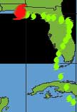 tropical storm tracking florida hurricane info